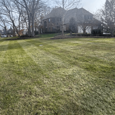 YARD CLEAN UP
